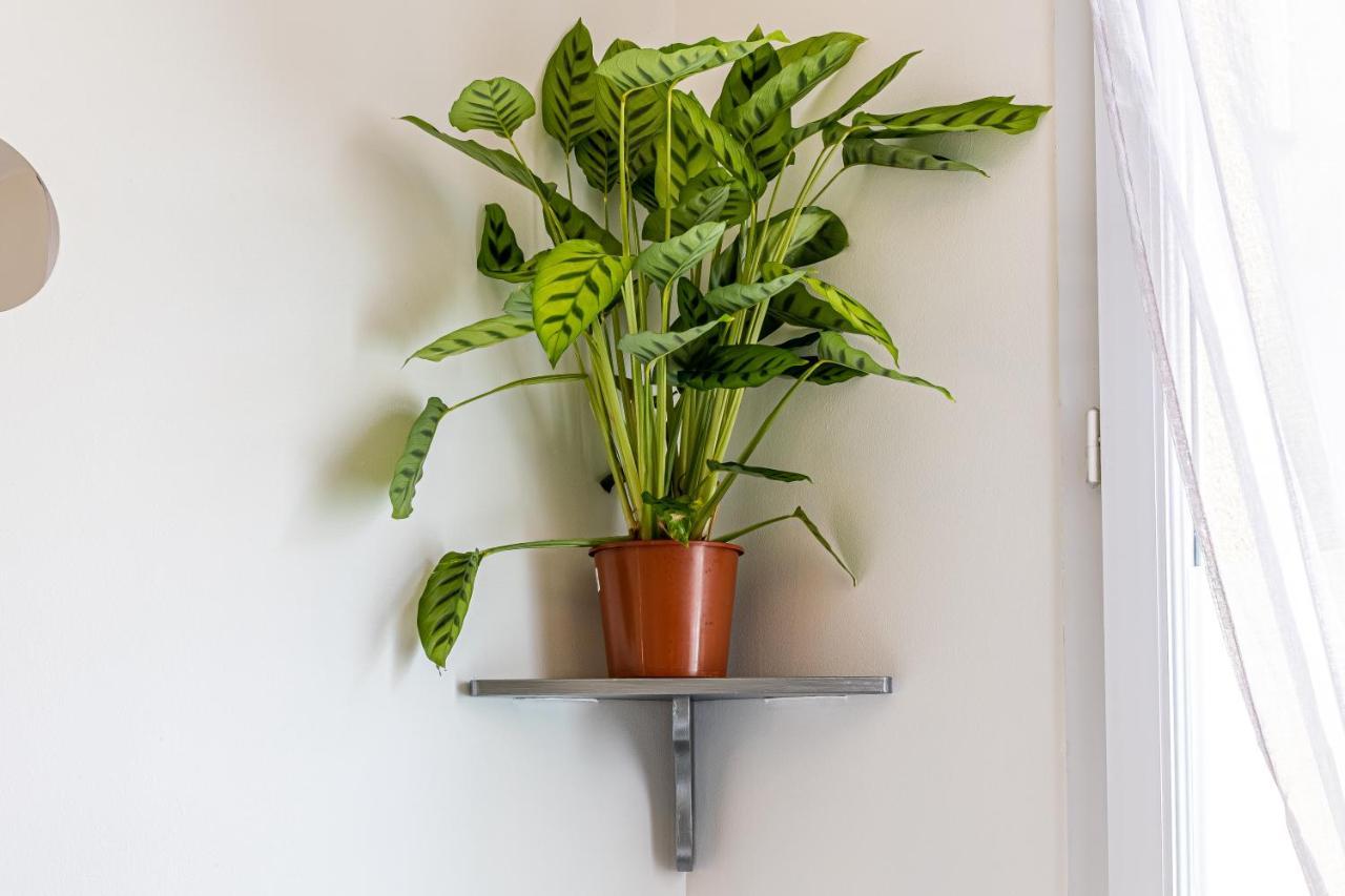 Apartamento Orchidee-7Min Aeroport Paris Orly-Arrivee Autonome-Wifi Et Parking Gratuit Exterior foto